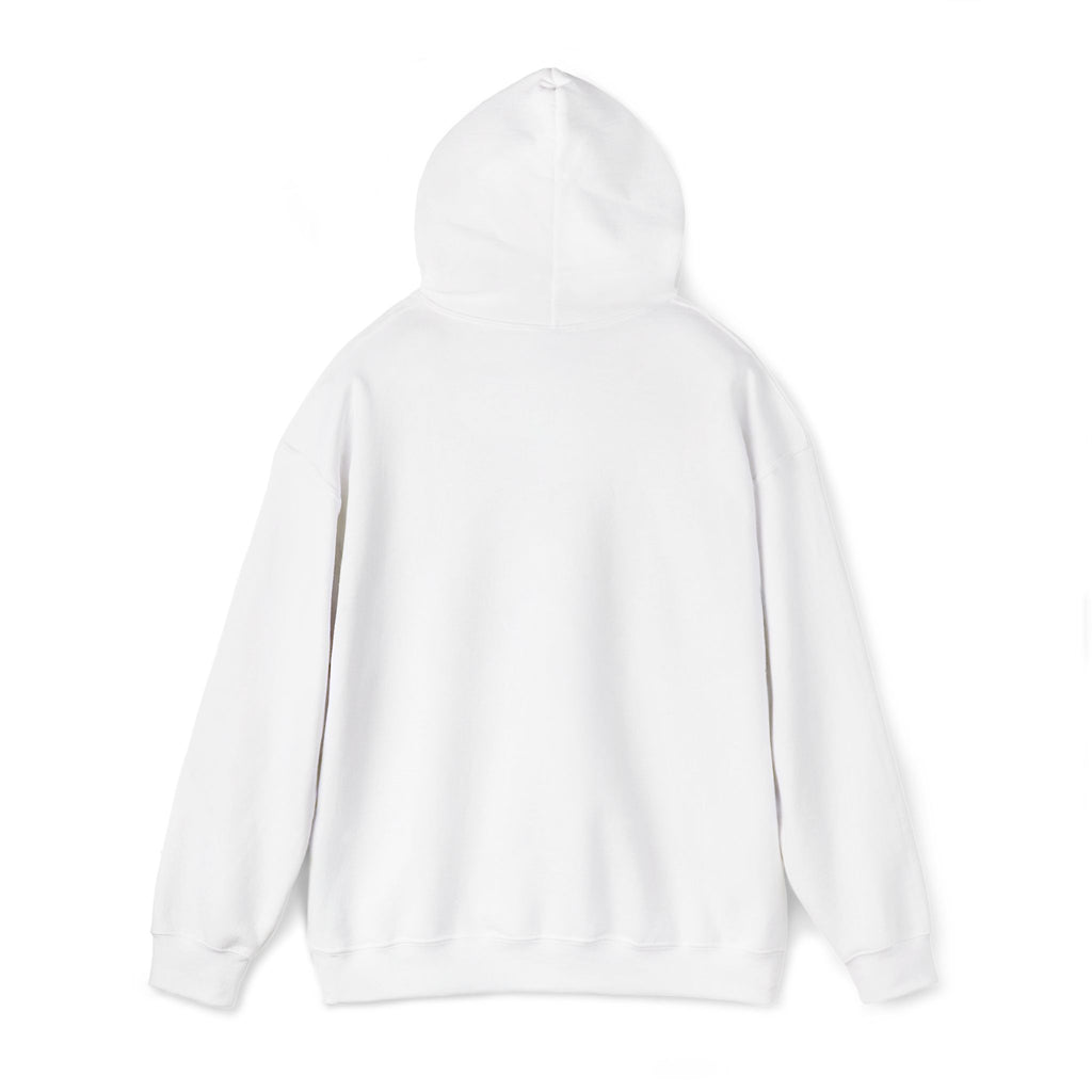 Operation Epstein Distraction Embroidered Hoodie – Iran War Protest Hoodie