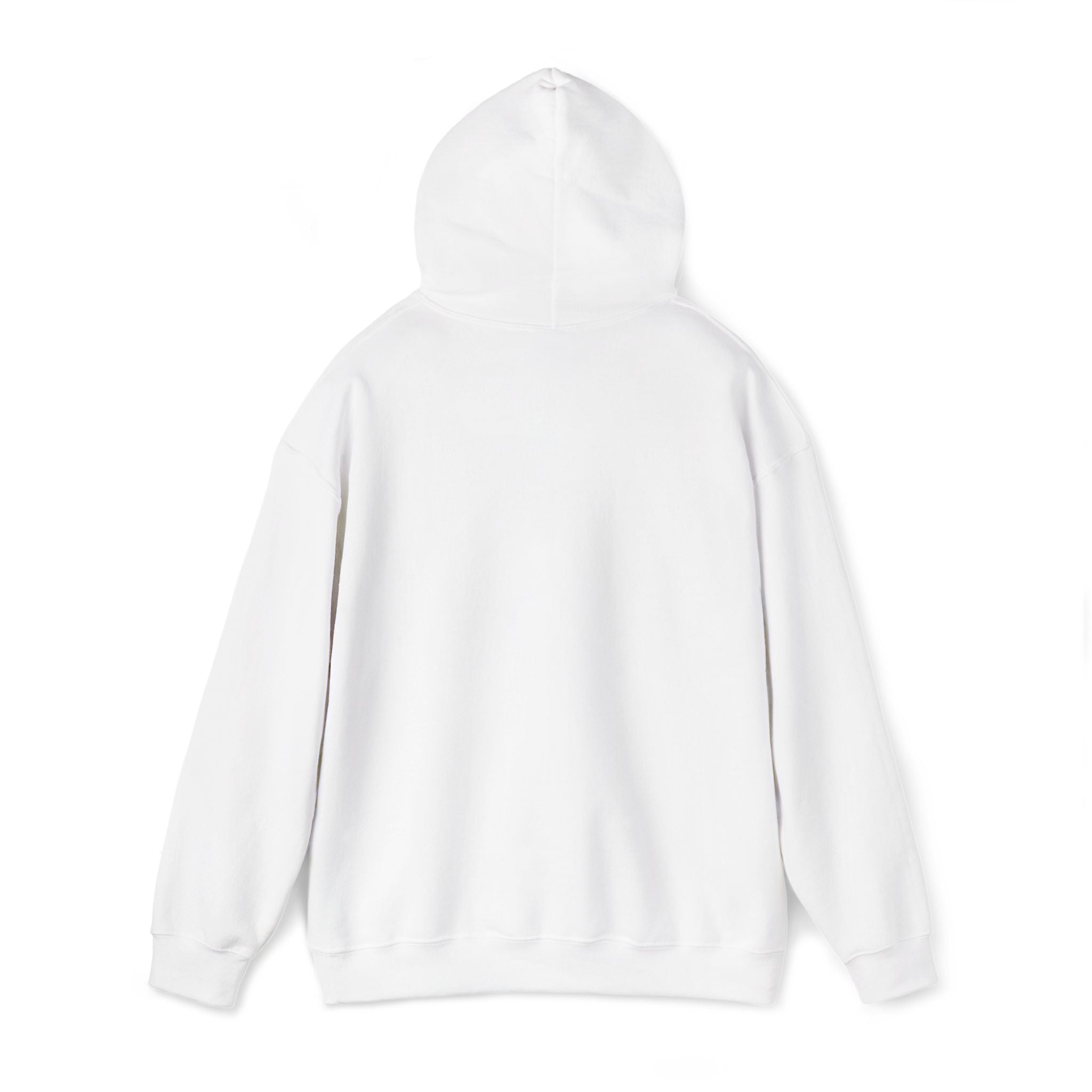 Operation Epstein Distraction Embroidered Hoodie – Iran War Protest Hoodie