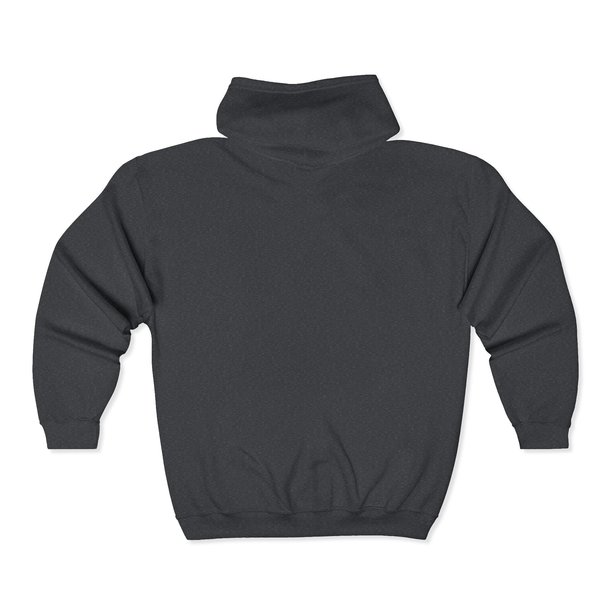 No Kings Embroidered Zip Hoodie | Hand-drawn Full Zip Hooded Sweatshirt