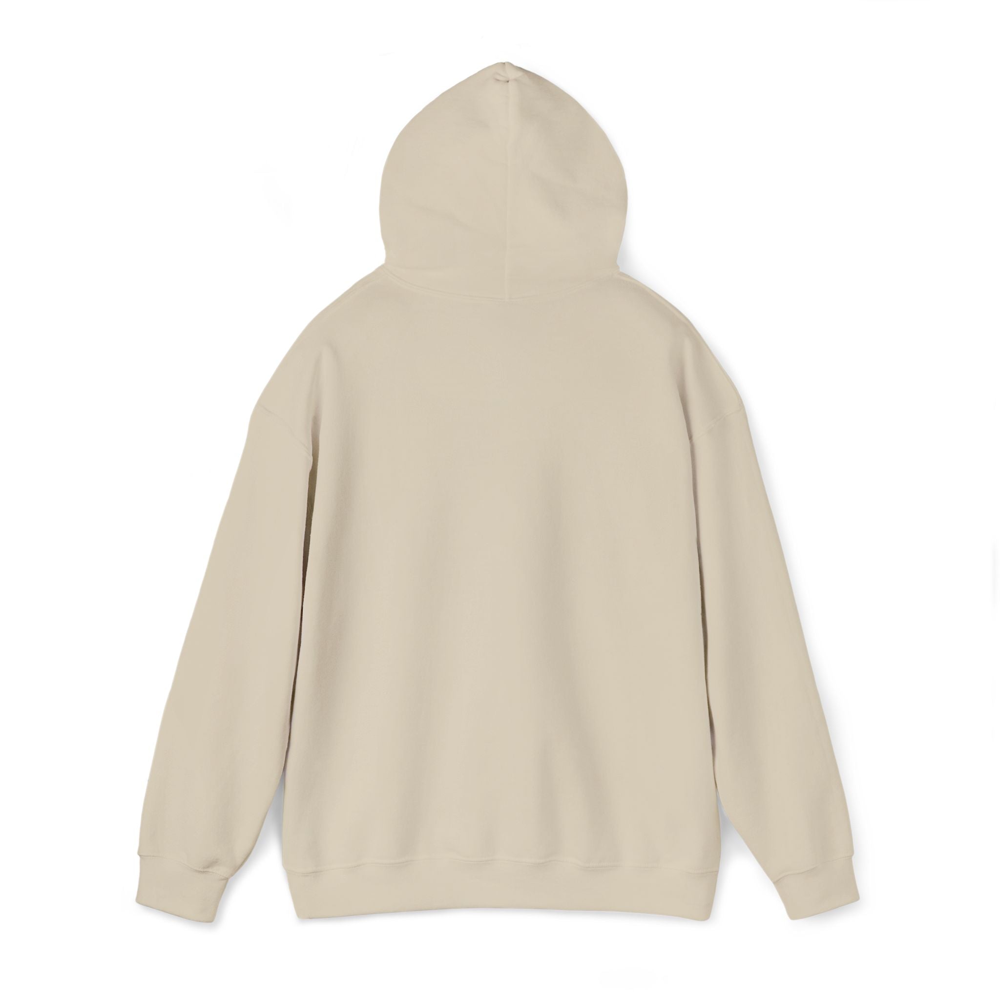 Operation Epstein Distraction Embroidered Hoodie – Iran War Protest Hoodie