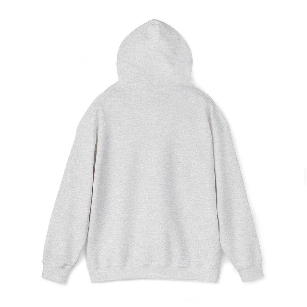 Operation Epstein Distraction Embroidered Hoodie – Iran War Protest Hoodie