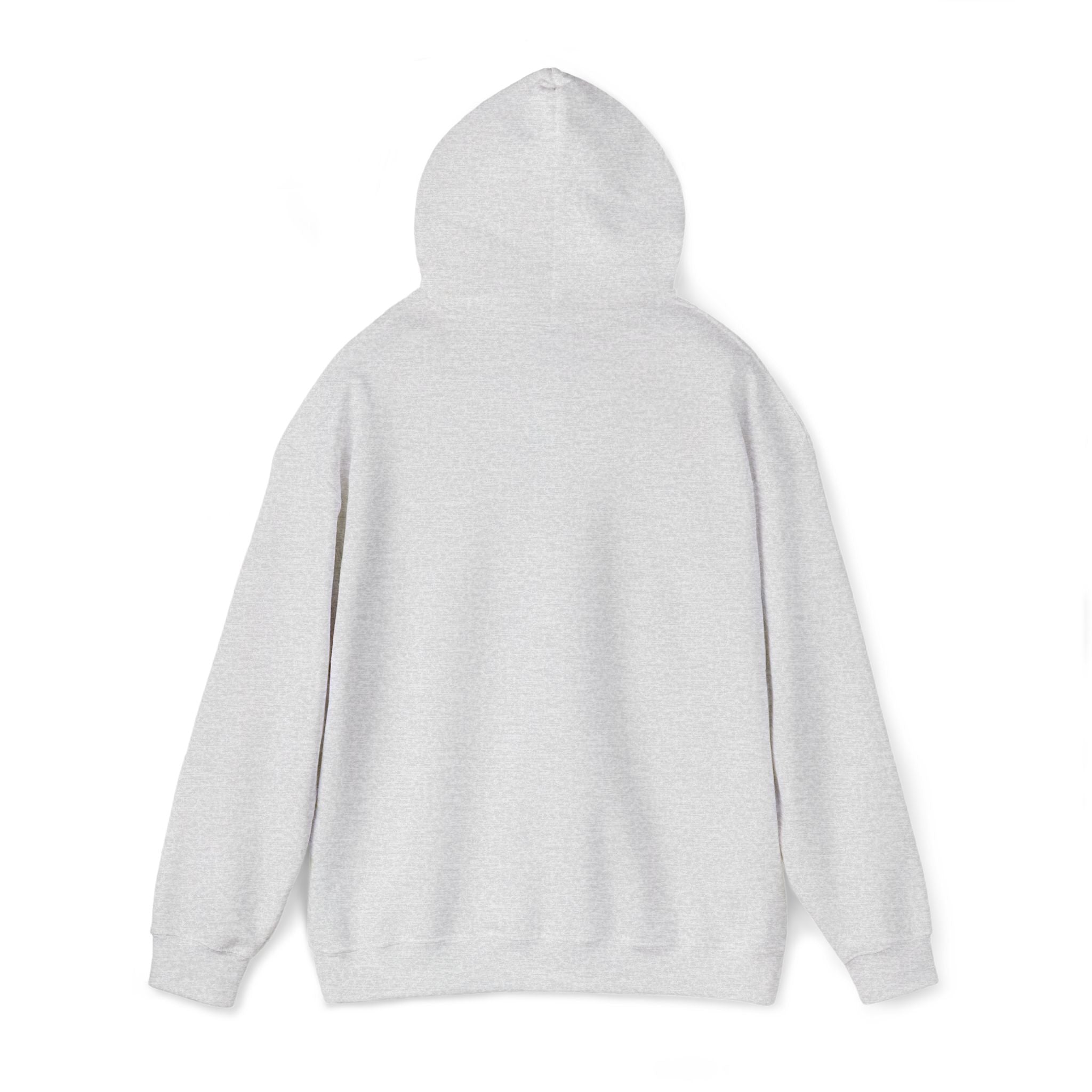 Operation Epstein Distraction Embroidered Hoodie – Iran War Protest Hoodie