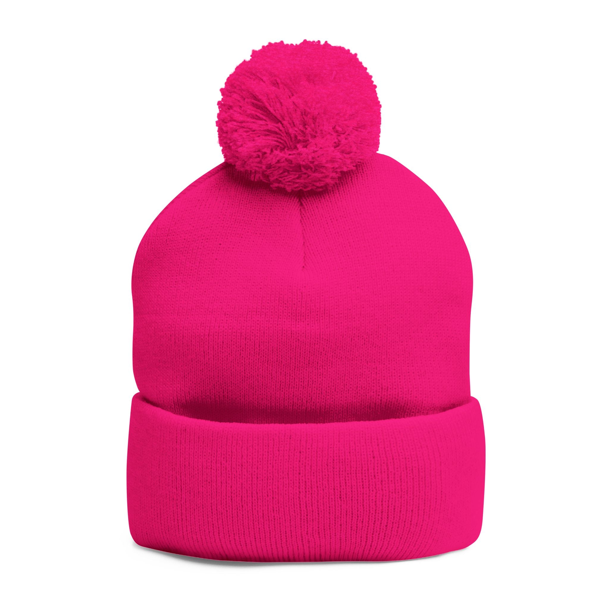 We Are All Pretty Good embroidered Pom Pom Knit Cap beanie with Bullet Hole Protest ICE HSA DHS lies