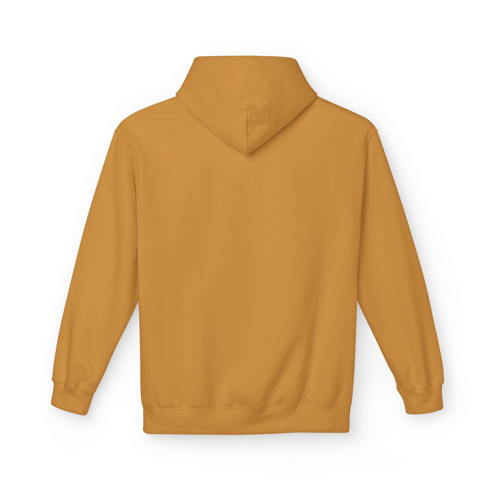 No Kings hoodie I Hand-Drawn