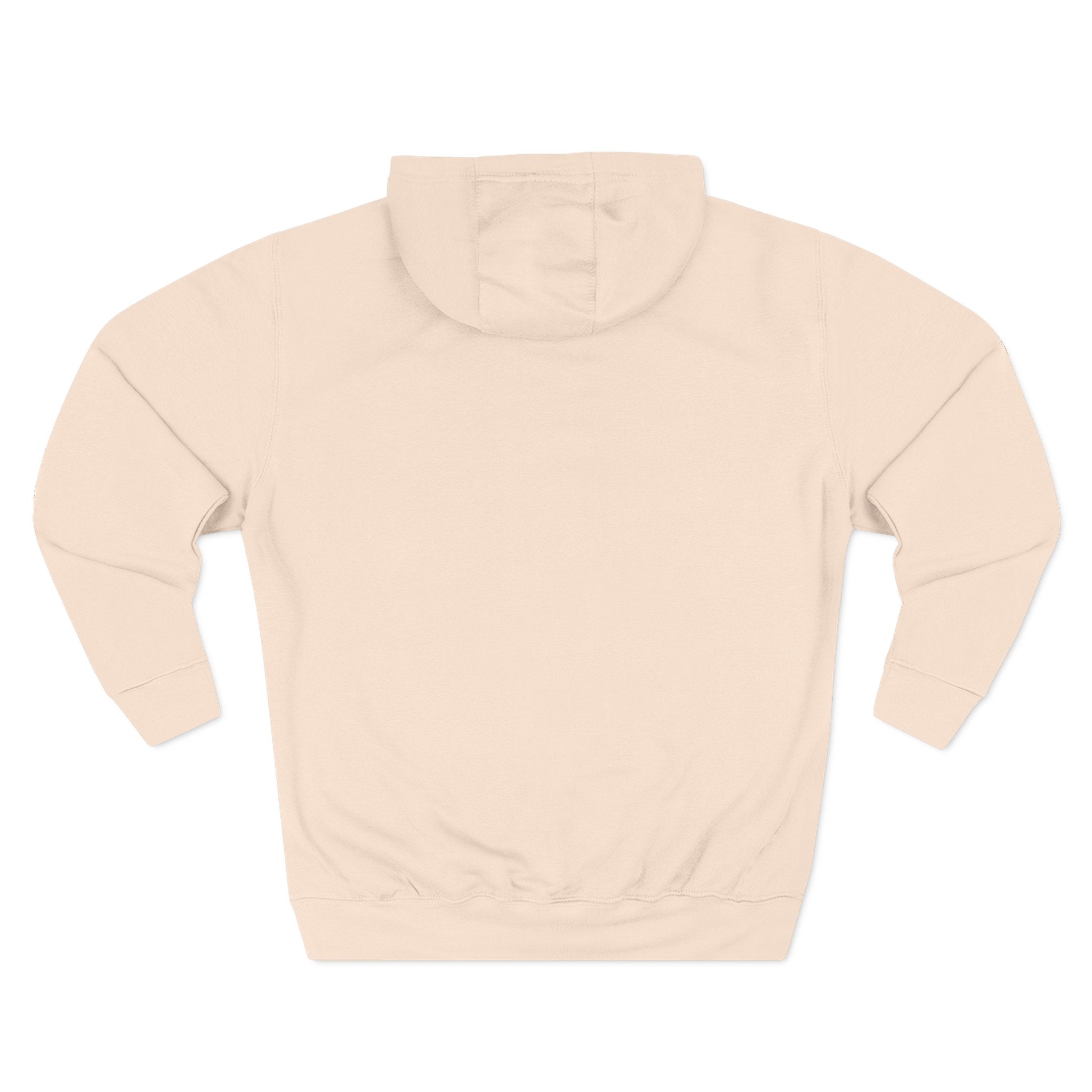 Be Pretti Good Hoodie | Anti ICE unchecked gestapo