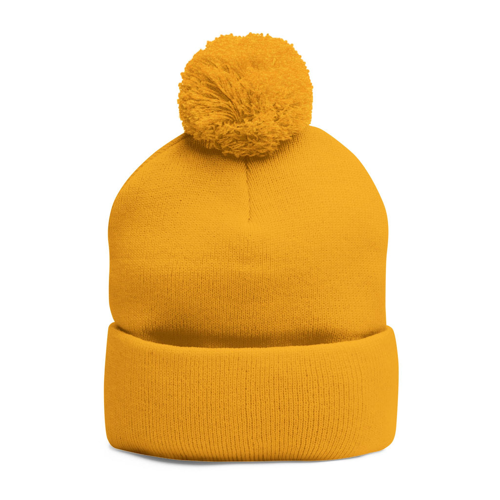 We Are All Pretty Good embroidered Pom Pom Knit Cap beanie with Bullet Hole Protest ICE HSA DHS lies