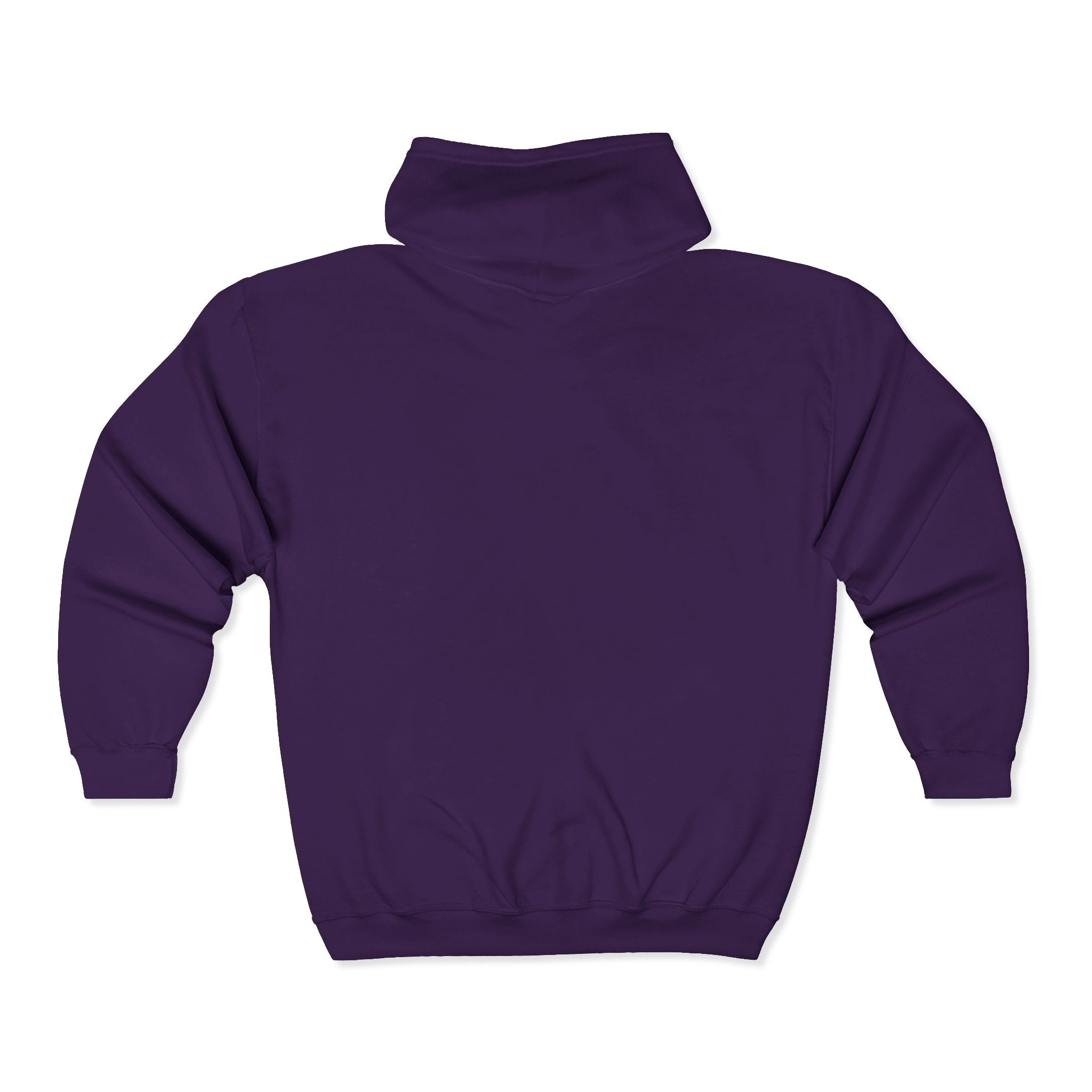 No Kings Embroidered Zip Hoodie | Hand-drawn Full Zip Hooded Sweatshirt