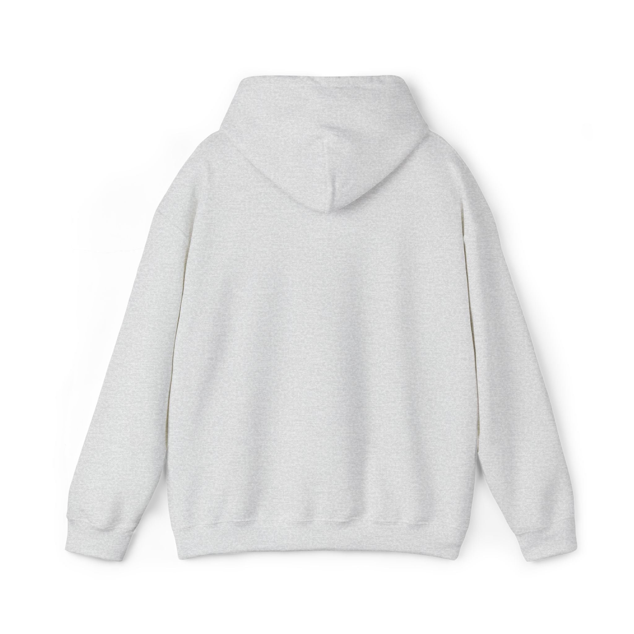 Operation Epstein Distraction Embroidered Hoodie – Iran War Protest Hoodie