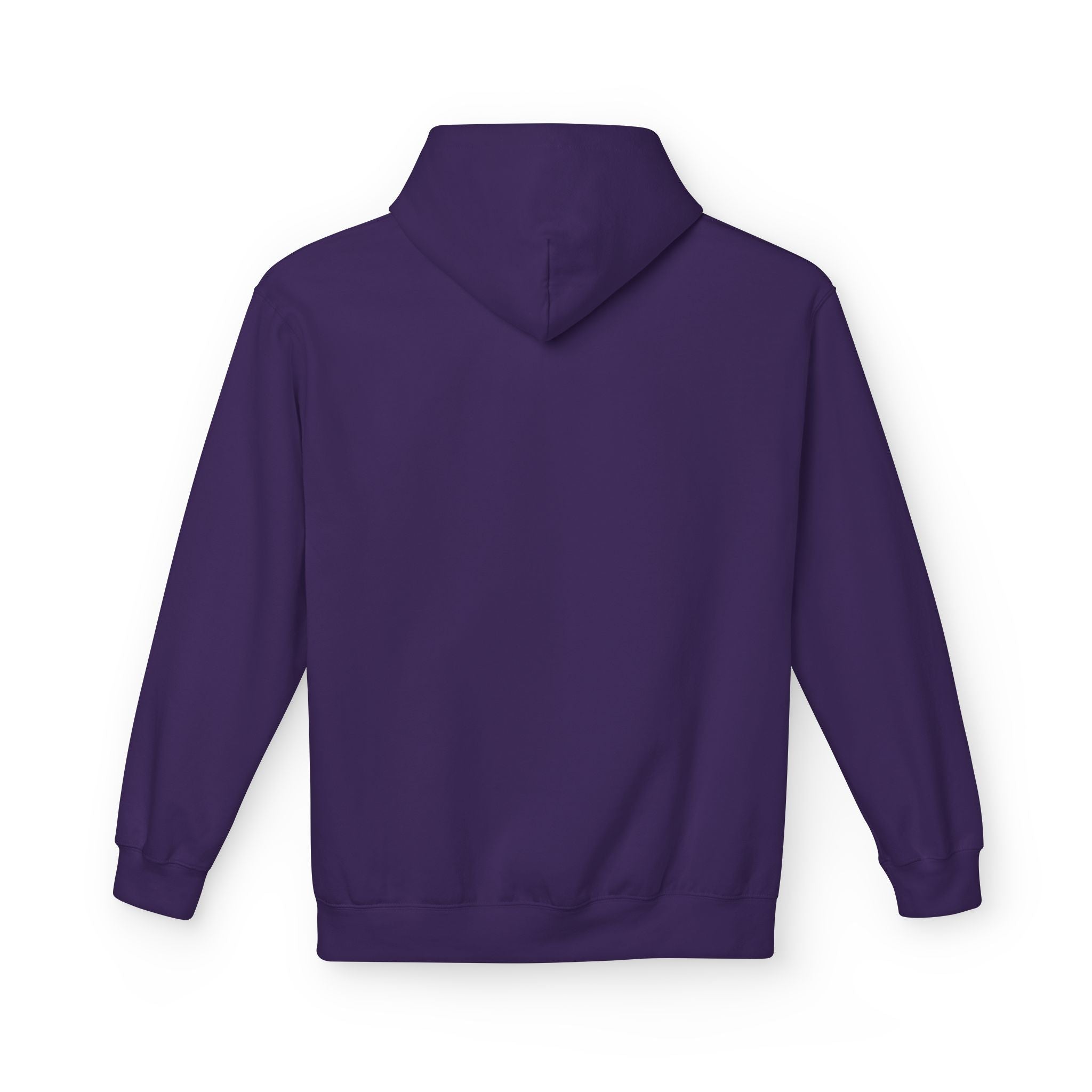 Dictator Shit Show marquee hoodie | Featuring Donald Trump and the Project 2025 Band