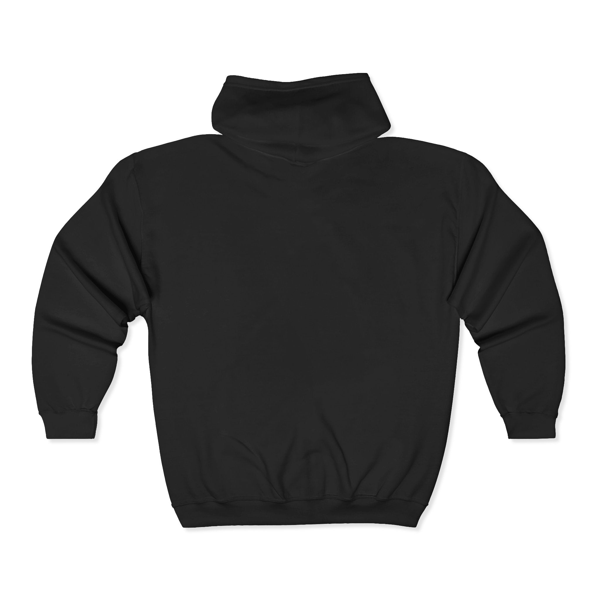 No Kings Embroidered Zip Hoodie | Hand-drawn Full Zip Hooded Sweatshirt
