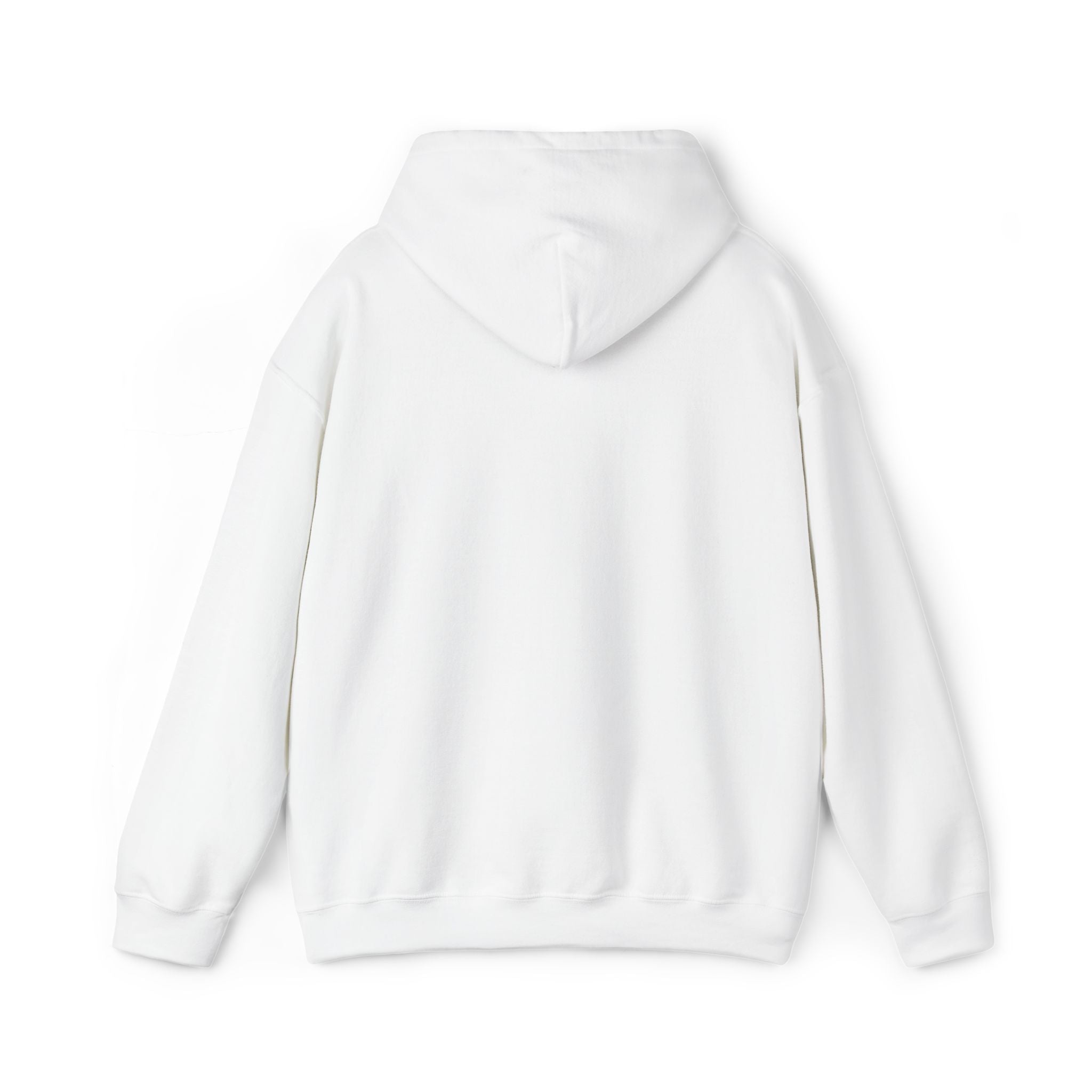 Operation Epstein Distraction Embroidered Hoodie – Iran War Protest Hoodie