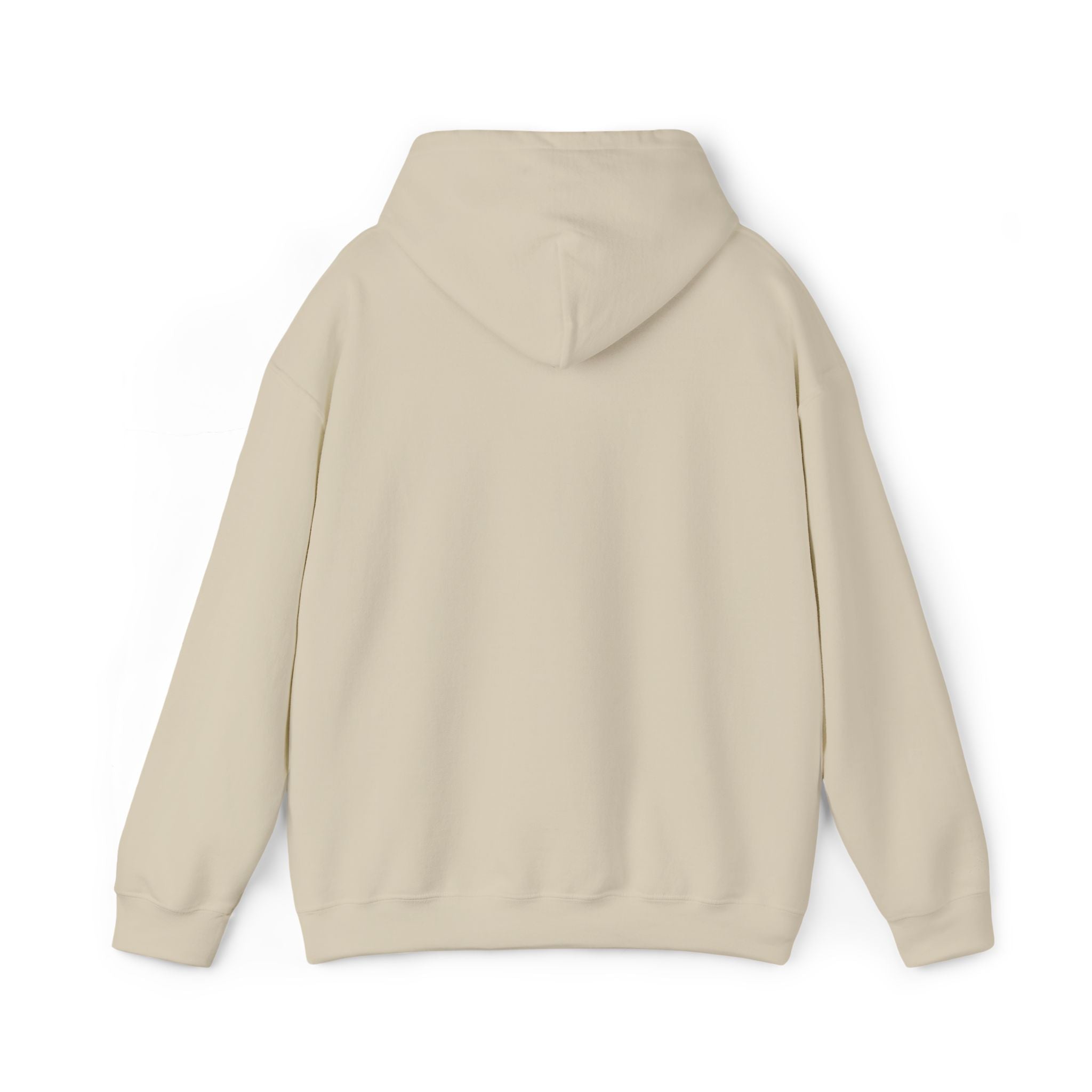 Operation Epstein Distraction Embroidered Hoodie – Iran War Protest Hoodie